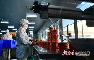 渭源 打工就在家门口